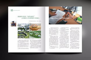 圖 深圳石巖產(chǎn)品畫冊設(shè)計(jì),企業(yè)畫冊專業(yè)設(shè)計(jì),石巖折頁設(shè)計(jì)公司 深圳設(shè)計(jì)策劃